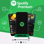 Spotify Premium 12 Months Subscription