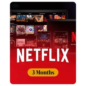 3 Month Netflix Premium Subscription