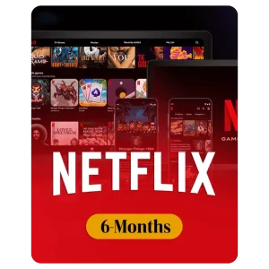 6 Month Netflix Premium Subscription